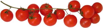 pomidory, pomidory koktailowe, pomidory koktajlowe, pomidory chery